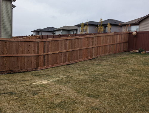 PXL 20221101 230705885.PORTRAIT